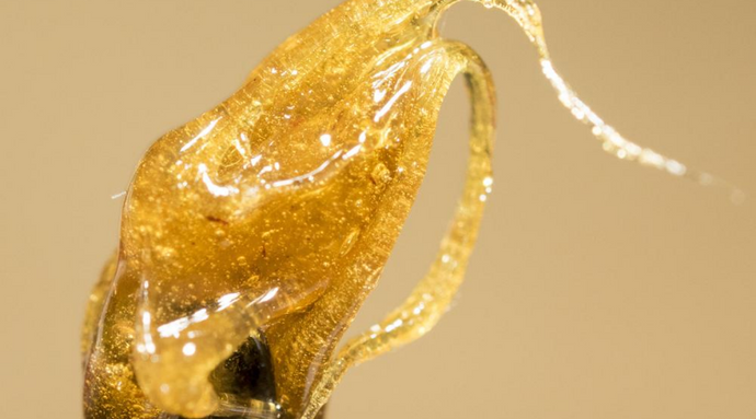 Best Rosin Presses of 2020
