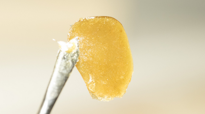 How to Achieve Full Control of the Rosin Extraction Process