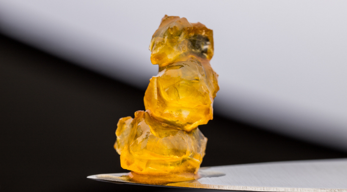 Live Resin vs. Live Rosin: How Are They Different?